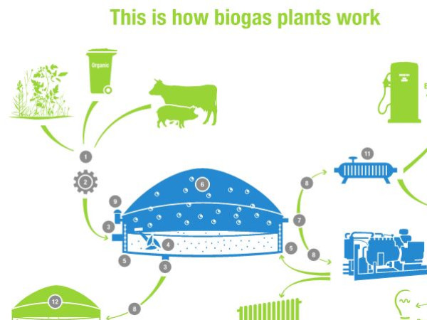 Biogas Plant DE